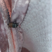 Load image into Gallery viewer, Rose and Pink Heavy Chenille Wrap Shawl