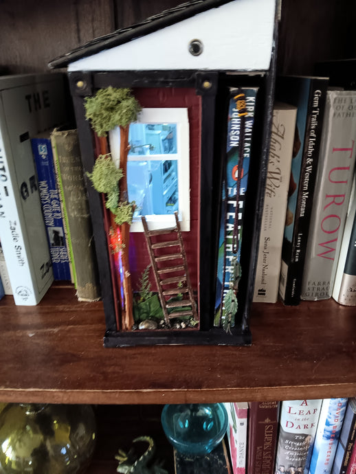 The Feather Thief Booknook with enclosed book